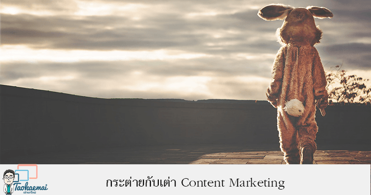 ทฤษฏีกระต่ายกับเต่า เขย่า Content Marketing