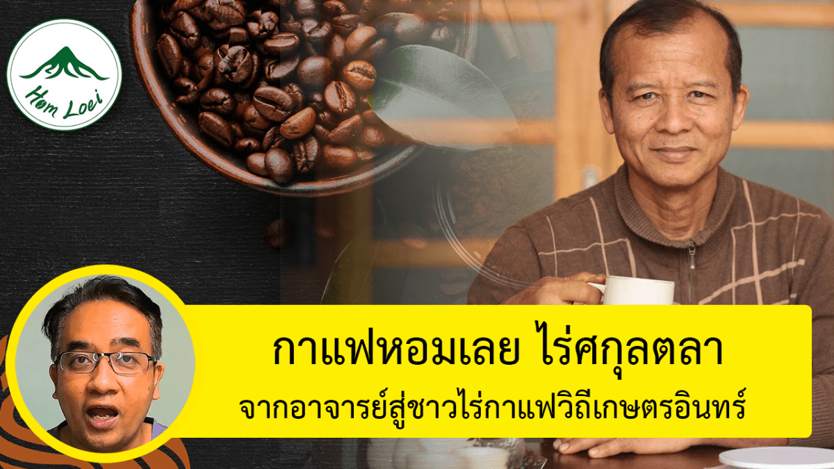 กาแฟหอมเลยไร่ศกุนตลา โครงการ UBI มหาวิยาลัยราชภัฏเลย สนับสนุนธุรกิจให้เติบโตในออนไลน์