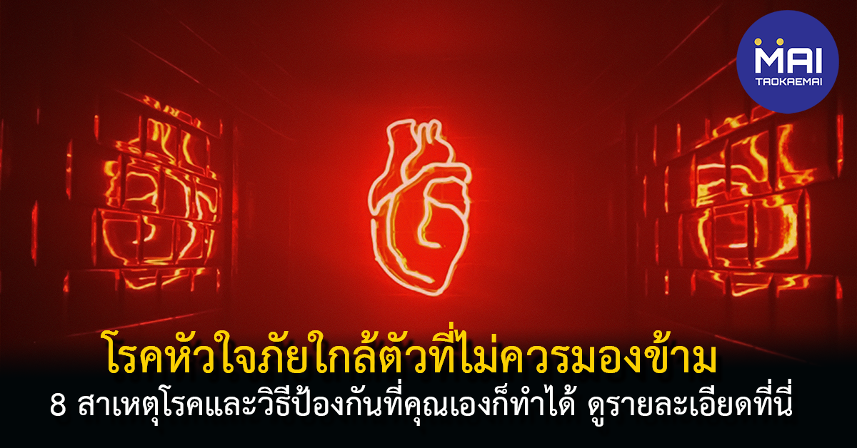 8 สาเหตุโรคหัวใจและวิธีป้องกันคู่มือฉบับเข้าใจง่าย