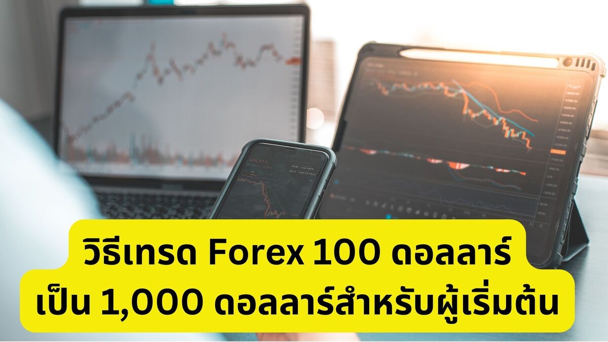 วิธีเทรด Forex 100 ดอลลาร์เป็น 1,000 ดอลลาร์สำหรับผู้เริ่มต้น